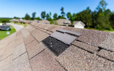 What’s Hiding Under Your Shingles After a Michigan Winter?