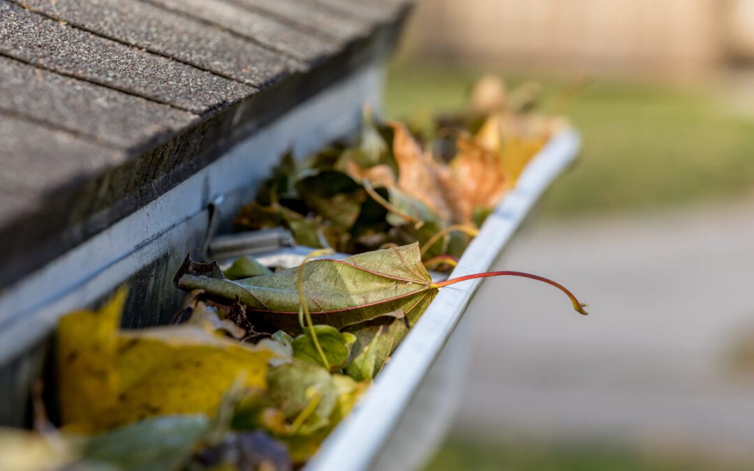 Gutters and Summer Downpours: Why Your Drainage System is Your Foundation’s Best Friend