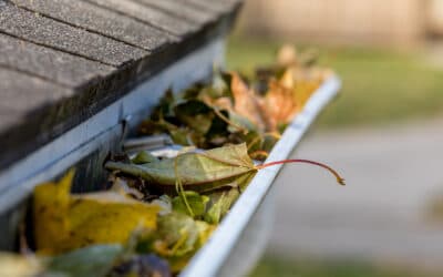 Gutters and Summer Downpours: Why Your Drainage System is Your Foundation’s Best Friend