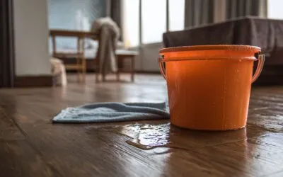 The $15,000 Winter Mistake: Why Your Attic is “Eating” Your Bank Account