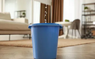 The Invisible Threat Hanging Over Your Family This Winter (And Why Most Homeowners Don’t See It Until It’s Too Late)