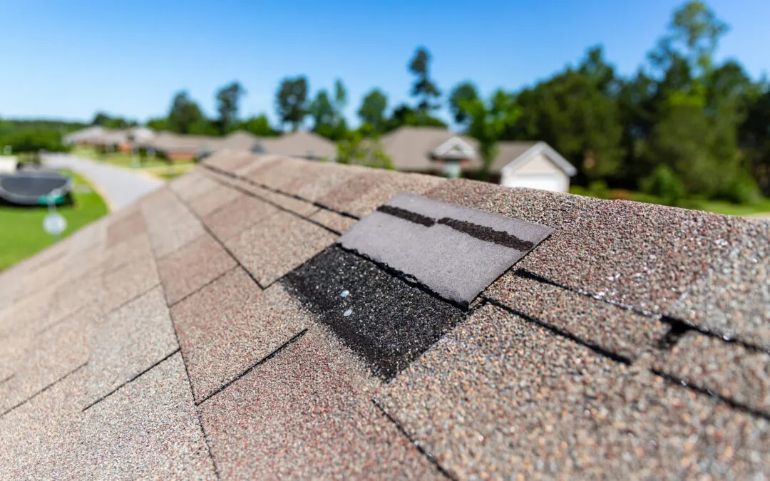What’s Hiding Under Your Shingles After a Michigan Winter?